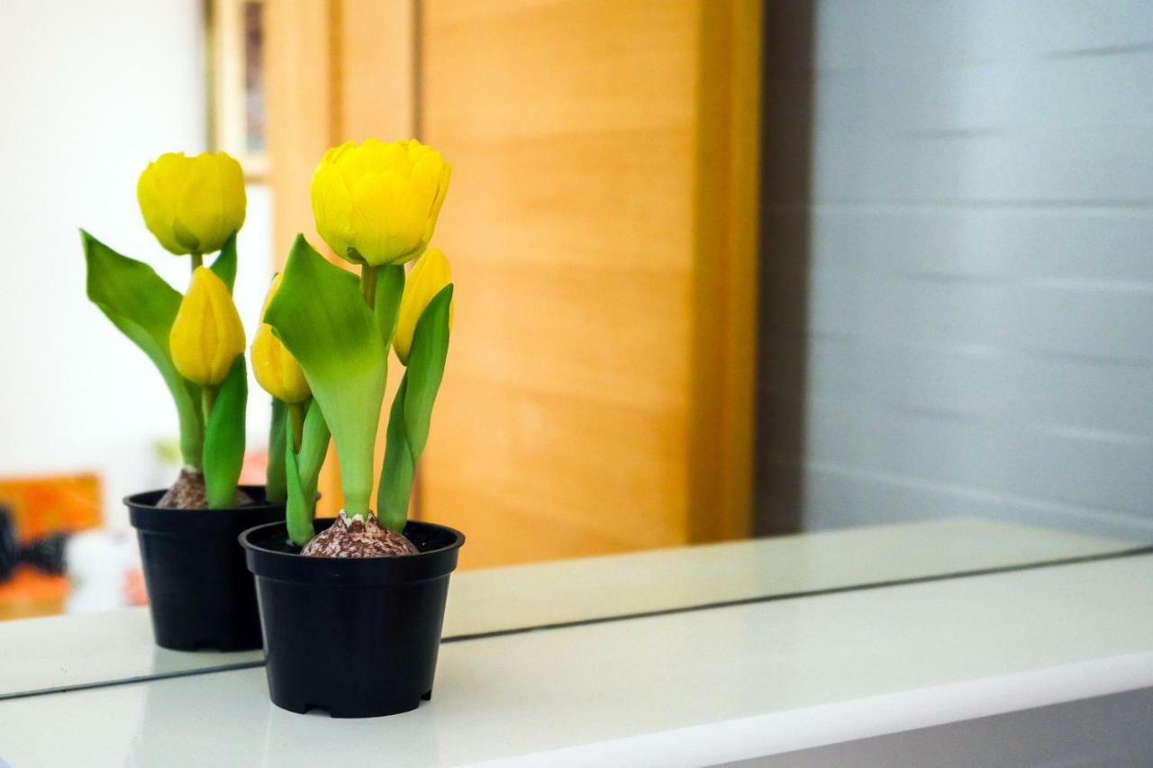 Apartmani Ivan Lopar Ngoại thất bức ảnh